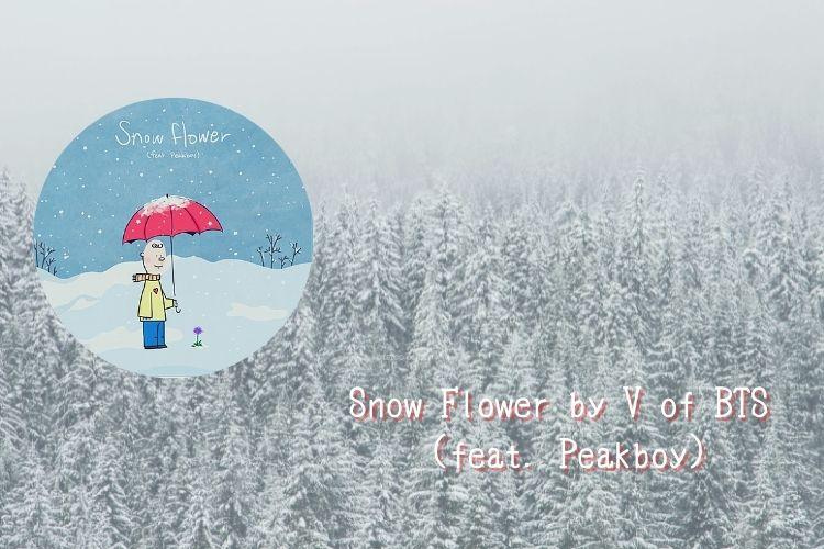 テテ『Snow Flower （feat. Peakboy） 』日本語訳と解説