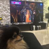 テテ（BTS V）インスタ 2022年11月分｜ポスト・ストーリー